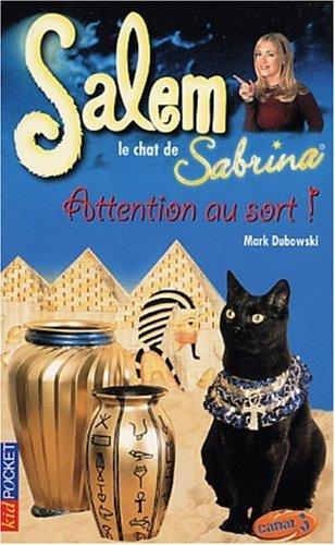 Cover for Salem - Attention au sort !