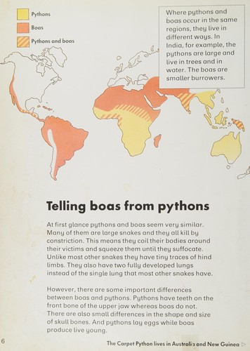 Cover for Pythons and boas