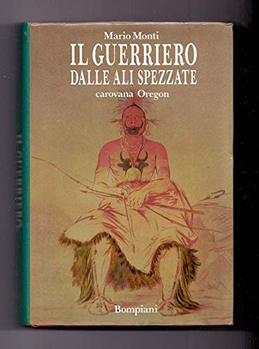 Cover for Il guerriero dalle ali spezzate