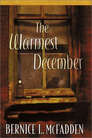 Cover for The warmest December
