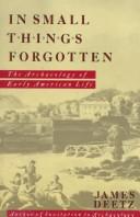 Cover for In small things forgotten