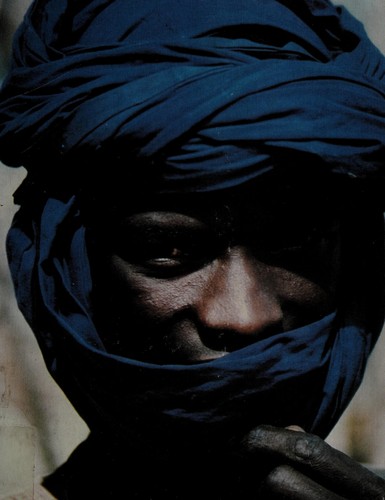 Cover for Introduction to anthropology