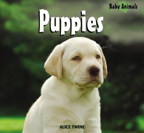 Cover for Puppies