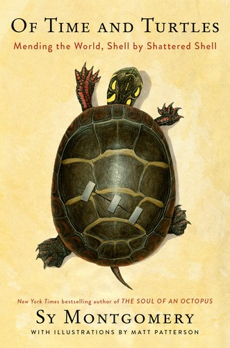 Cover for Of Time and Turtles