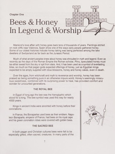 Cover for The honey book