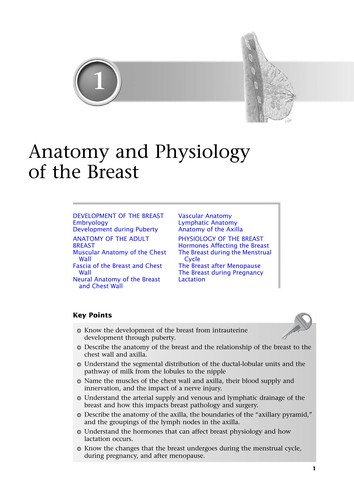 Cover for Essentials of breast surgery