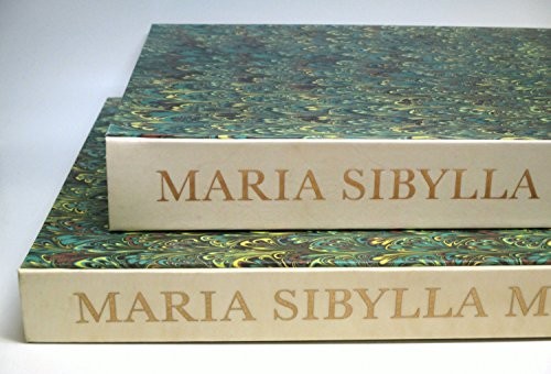 Cover for Leningrad watercolours