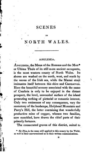 Cover for Scenes in North Wales.