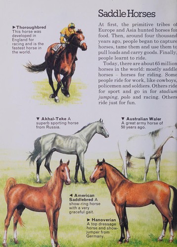 Cover for Guide to horses and ponies