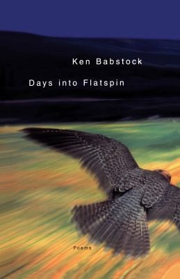 Cover for Days into Flatspin