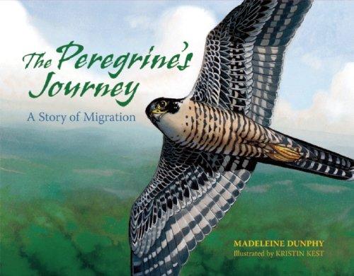 Cover for The Peregrine's Journey