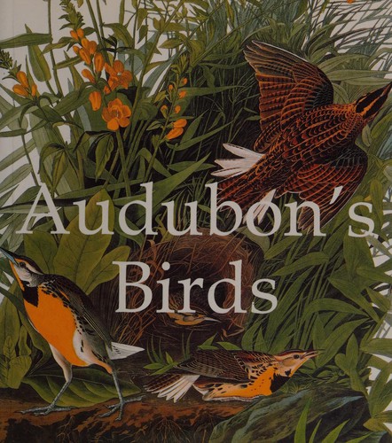 Cover for Audubons Birds Mega Sq (Mega Squares)