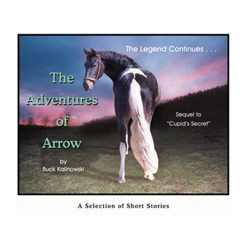 Cover for The Adventures of Arrow