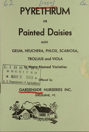 Cover for Pyrethrum or painted daisies