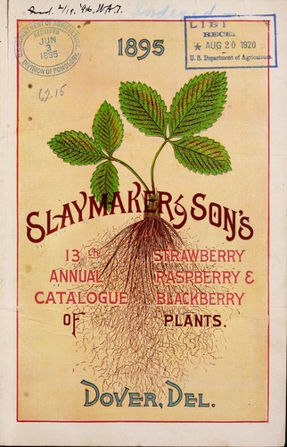 Cover for Slaymaker & Son's 13th annual catalogue of strawberry, raspberry & blackberry plants