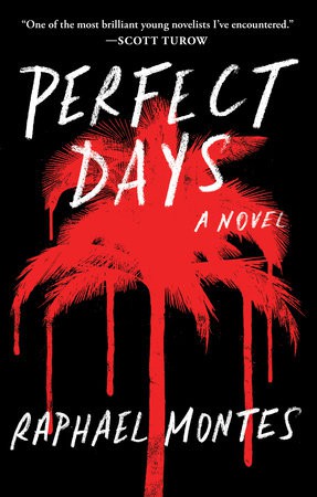 Cover for Perfect Days