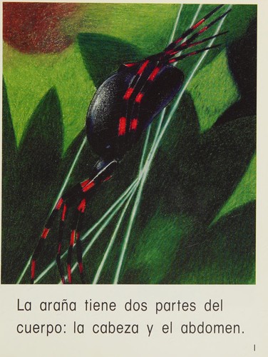 Cover for LA ARANA, SINGLE COPY, PINATA, STAGE 2