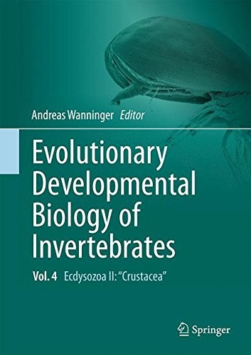 Cover for Evolutionary Developmental Biology of Invertebrates 4 : Ecdysozoa II
