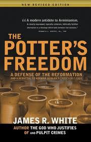 Cover for The Potter's Freedom