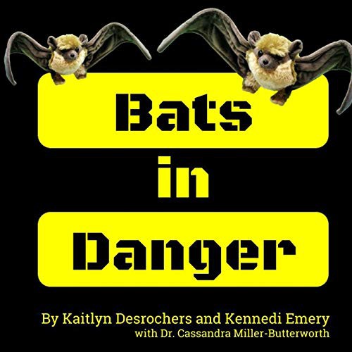 Cover for Bats in Danger