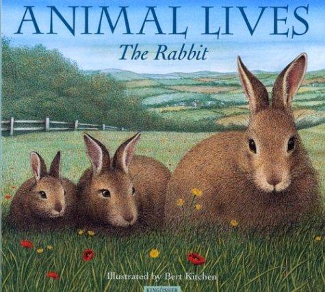 Cover for The Rabbit (Animal Lives)