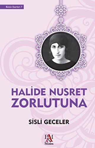 Cover for Sisli Geceler