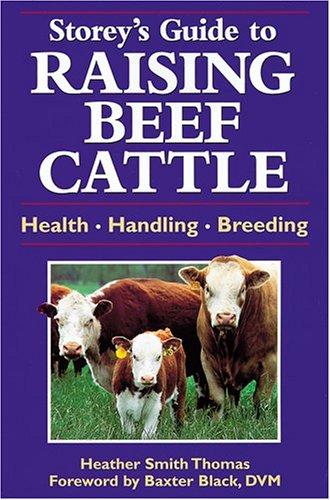 Cover for A guide to raising beef cattle