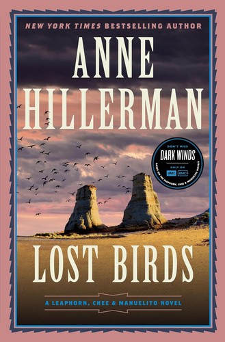 Cover for Lost Birds