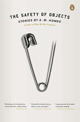 Cover for The safety of objects