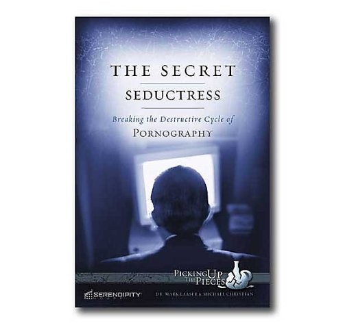 Cover for The secret seductress