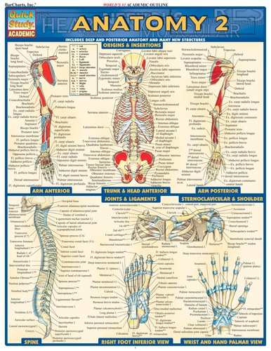 Cover for Anatomy 2
