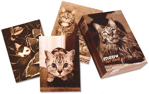 Cover for Meow for Now Small Note Cards