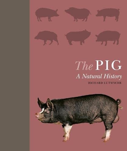 Cover for Pig