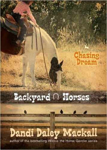 Cover for Chasing Dream