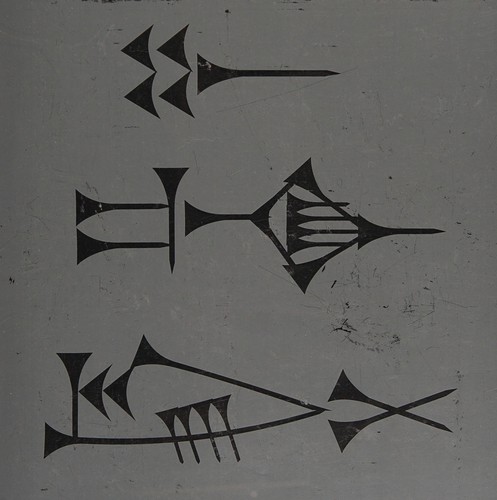 Cover for Chasing light stranger