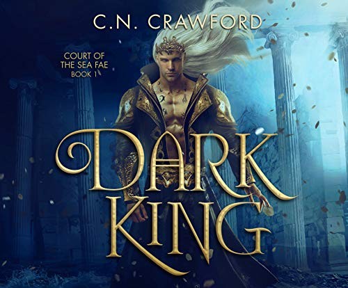 Cover for Dark King