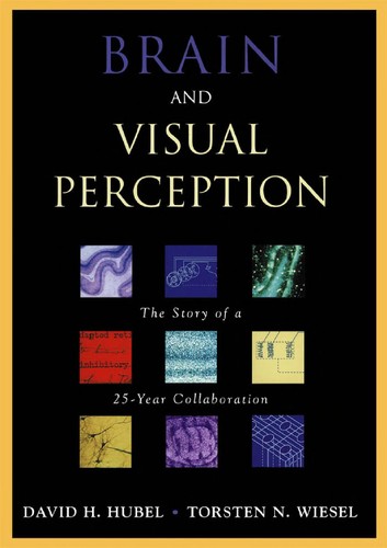 Cover for Brain and visual perception