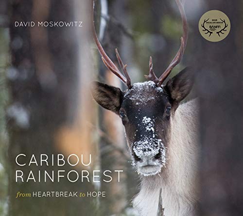 Cover for Caribou Rainforest