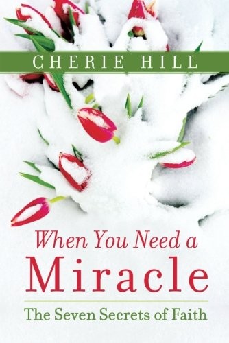 Cover for When You Need a Miracle