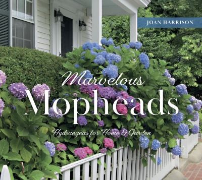 Cover for Marvelous Mopheads