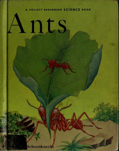 Cover for Ants