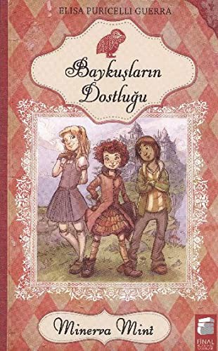 Cover for Baykuslarin Dostlugu