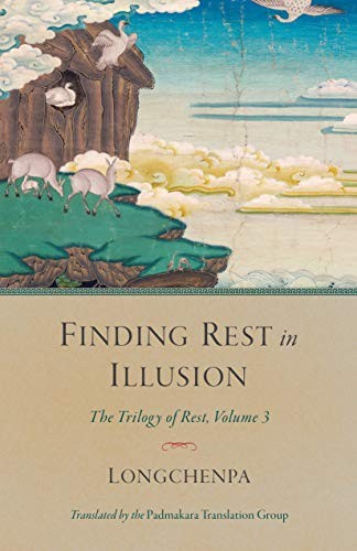 Cover for Finding Rest in Illusion