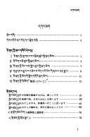 Cover for Ñi-hoṅ skad yig tshad ldan rab gsal me loṅ