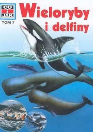 Cover for Wieloryby i delfiny
