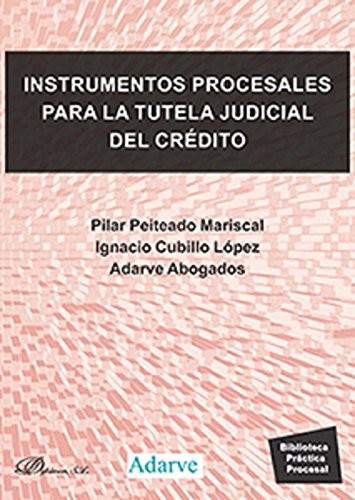 Cover for Instrumentos procesales para la tutela judicial del crédito
