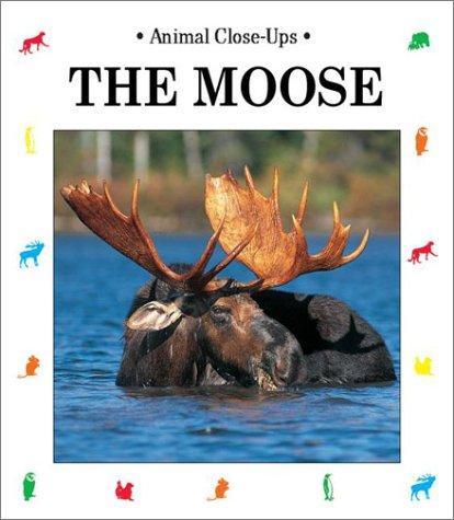 Cover for The Moose