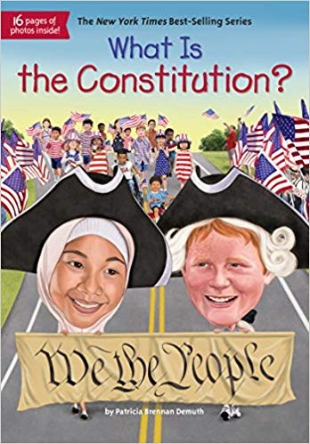 Cover for What is the constitution?
