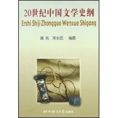 Cover for 20 shi ji Zhongguo wen xue shi gang