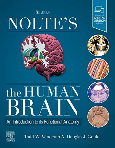Cover for Nolte's the Human Brain